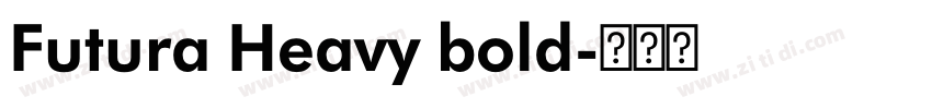 Futura Heavy bold字体转换